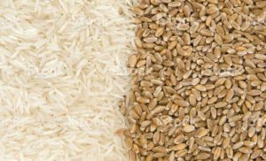 नहीं बढ़ेंगे राशन के गेहूं-चावल के भाव